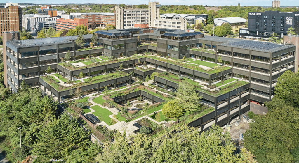 Plant, Basingstoke, Hampshire | Hollis Hockley